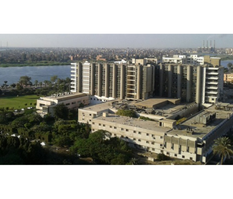 Nasser Institute Hospital – C Tower