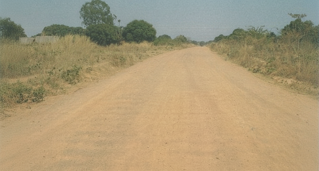 2060_Nyahua-Chaya Road Upgrade